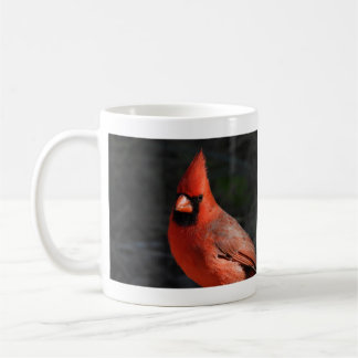Taza De Café Fotografía del pájaro rojo Cardinal del Norte