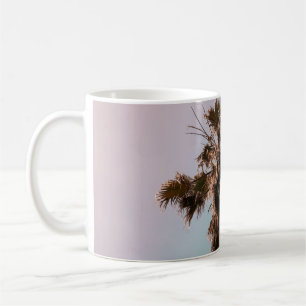 Taza De Café Fotografía en ángulo bajo de la planta de palma