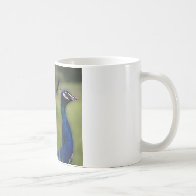 Taza De Café Fotografía pavo real Clásico Mugre Blanca (Derecha)