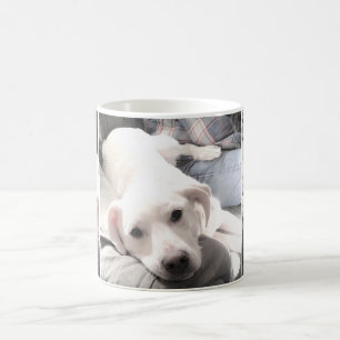 Taza De Café Fotos de un perro blanco lindo colgando con el caf