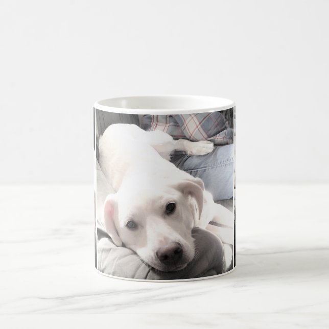 Taza De Café Fotos de un perro blanco lindo colgando con papá (Centro)