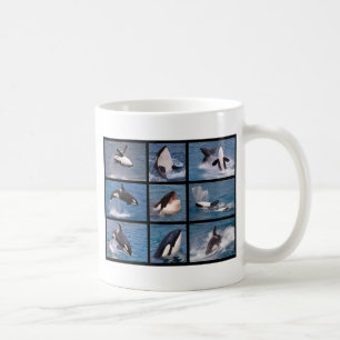 Taza De Café Fotos mosaicos de ballenas asesinas
