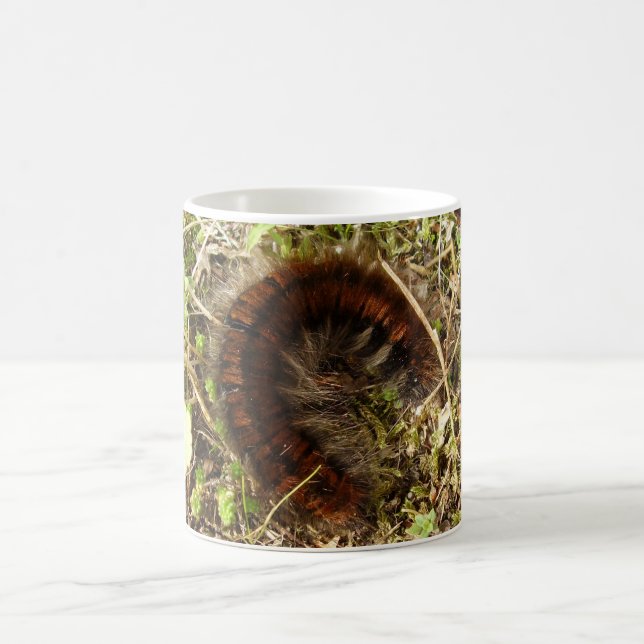 Taza De Café Fox Moth Caterpillar Bug Mug (Centro)