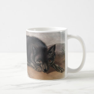 Taza De Café Fox negra o plateada estadounidense (Vulpes fulvus