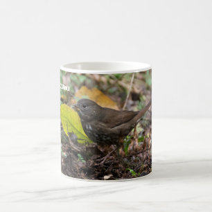 Taza De Café Fox Sparrow