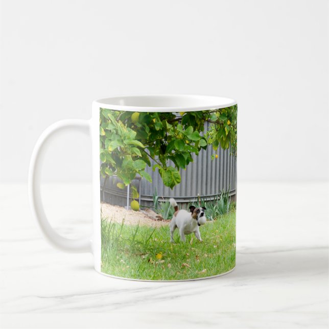 Taza De Café Fox Terrier, Funny Scare Face, White Coffee Mug (Izquierda)