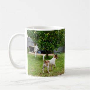 Taza De Café Fox Terrier Saltando A Un Árbol,