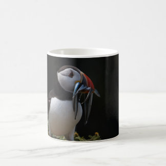 Taza De Café Frailecillo de Fisher