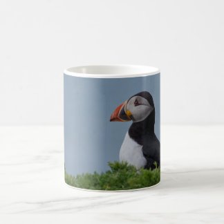 Taza De Café Frailecillo del perfil