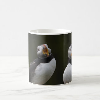 Taza De Café Frailecillos de la canción de amor