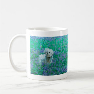Taza De Café Frisa de Bichon en Bluebonnets