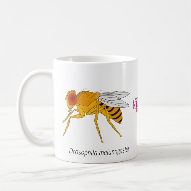 Taza De Café Fruit Fly Mug (Izquierda)