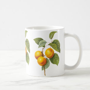 Taza De Café Fruta de la comida de la cosecha, Apricot Peach by