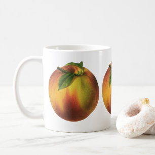Taza De Café Fruta de la Comida Vintage, Engranaje Orgánico Rip