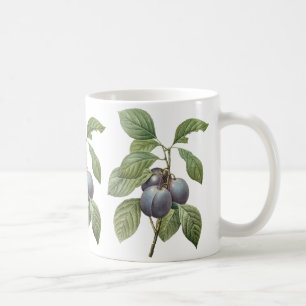 Taza De Café Frutas Comestibles Antiguas, Ciruelas de Jardín Mo