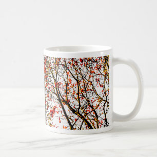 Taza De Café Frutos romanos rojos o bayas de ceniza