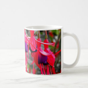 Taza De Café Fuchsia