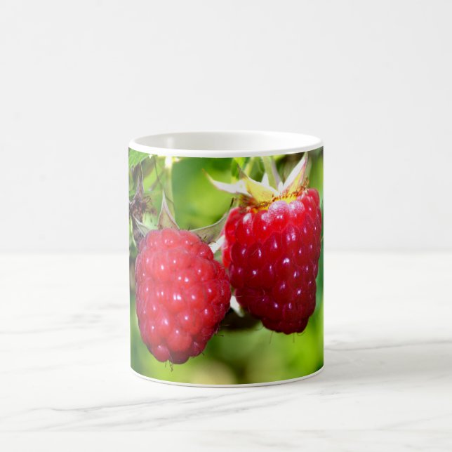 Taza De Café Fun red Raspberries (Centro)