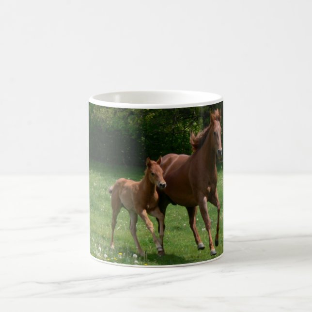 Taza De Café Funcionamiento de la yegua y del potro (Centro)