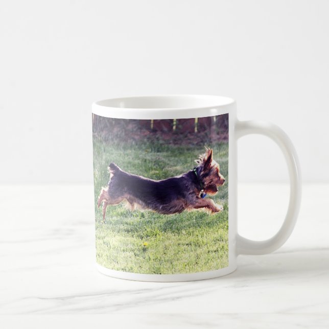 Taza De Café Funcionamiento de Yorkshire Terrier (Derecha)
