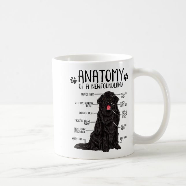 Taza De Café Funny Anatomy Newfoundland Dog Cute Newfie Lover  (Derecha)