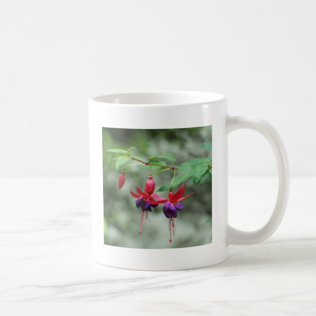 Taza De Café Fuschia1A.jpg (Derecha)