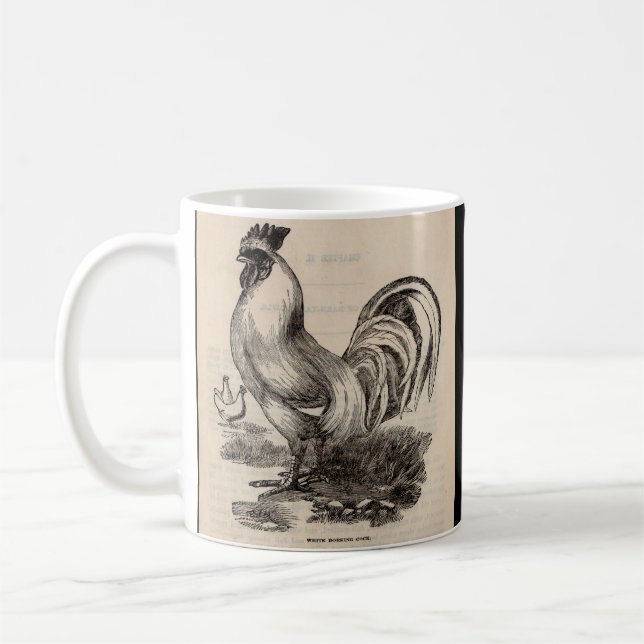 Taza De Café Gallo Dorking blanco del siglo XIX (Izquierda)