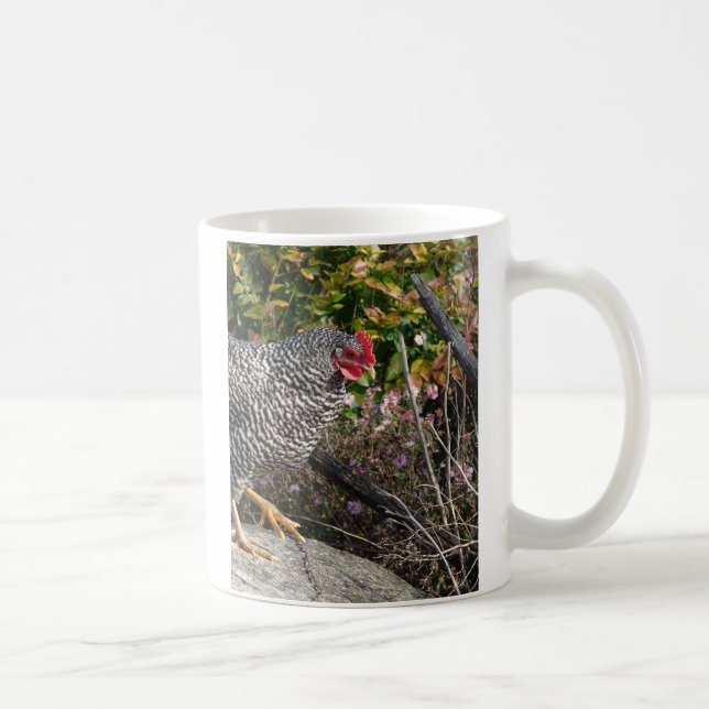 Taza De Café Gallo Plymouth Rock (Derecha)