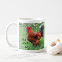 Gallo rojo de Rhode Island