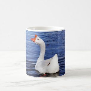 Taza De Café ganso blanco nadando en agua azul
