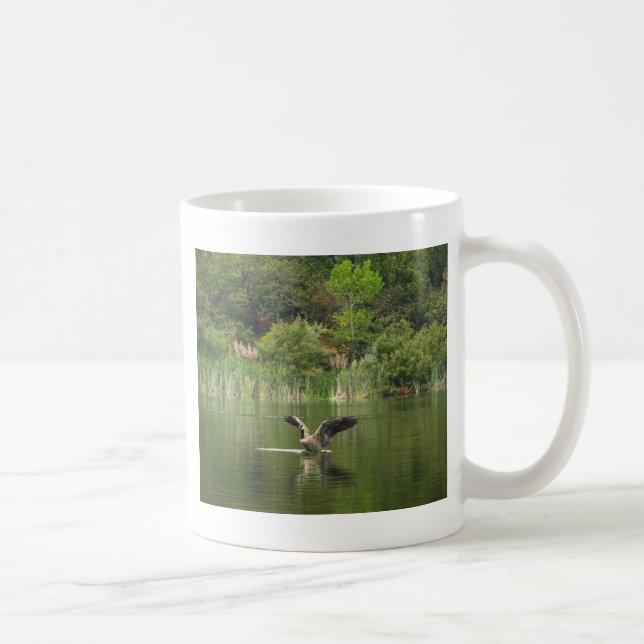 Taza De Café Ganso en el lago Ralphine (Derecha)
