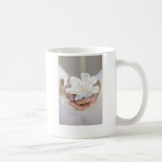 Taza De Café Gardenai, clase de secundaria de Guillermo H