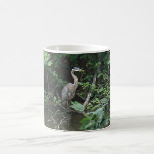 Taza De Café Garza azul con la reflexión en el agua