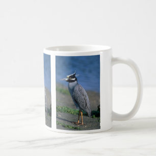 Taza De Café garza de noche Amarillo-coronada
