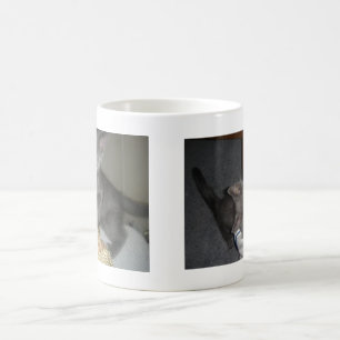 Taza De Café Gatito