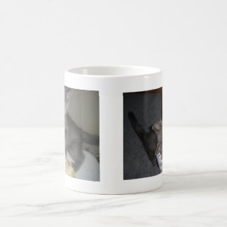 Taza De Café Gatito