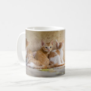 Taza De Café Gatito atigrado naranja y blanco/Agrega la foto de