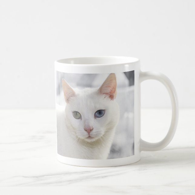 Taza De Café gatito blanco de ojos extraños frente a frente (Derecha)