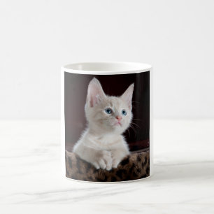 Taza De Café Gatito blanco vulnerable