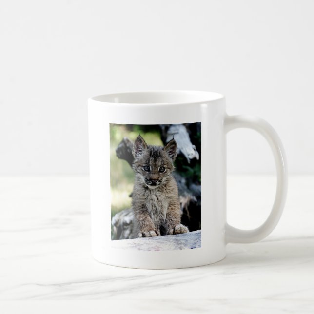Taza De Café Gatito canadiense del lince (Derecha)