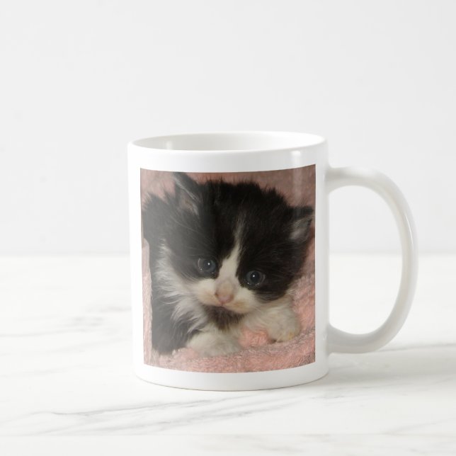 Taza De Café Gatito del Coon de Maine (Derecha)