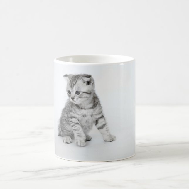 Taza De Café Gatito del doblez del escocés (Centro)