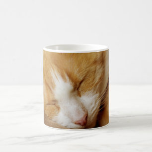 Taza De Café Gatito durmiente