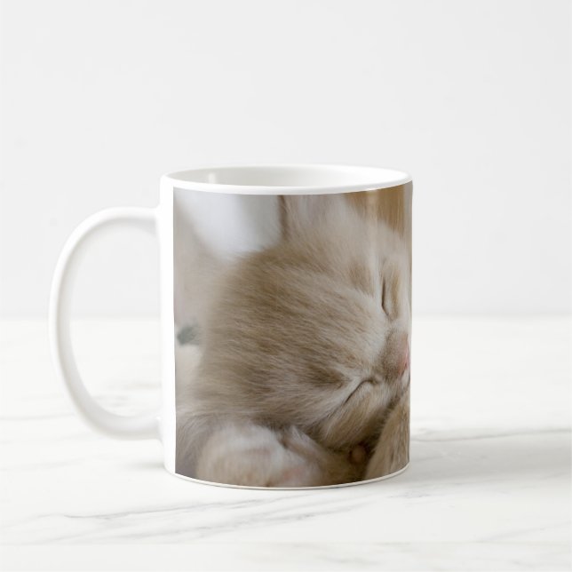 Taza De Café Gatito el dormir (Izquierda)