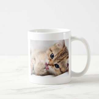 TAZA DE CAFÉ GATITO LINDO