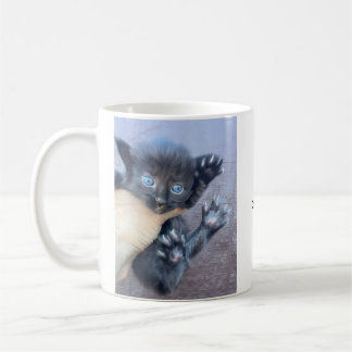 Taza de café gatito no me molestes
