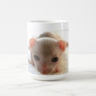 Taza De Café Gatito recién nacido de la esfinge