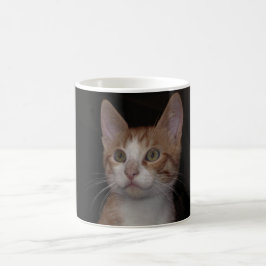 Taza De Café Gatito rojo - gato joven, fondo negro