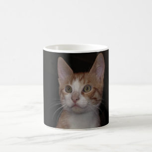 Taza De Café Gatito rojo - gato joven, fondo negro