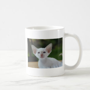 Taza De Café Gatito siamés supercute